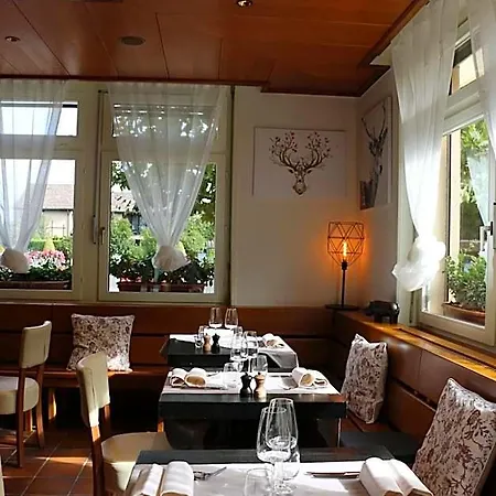 Au Lion D'or 酒店 *