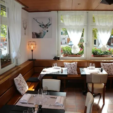 Au Lion D'or Hotell Tannay