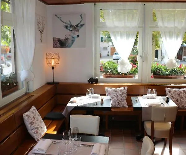 Au Lion D'or Hotel Tannay